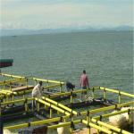 Flexibility Floating Fish Cage Light Weight Abrasion Resistance Smooth Surface