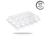 20/24/30 Cell PET Clear Plastic Egg Blister Tray Disposable Quail Chicken Egg