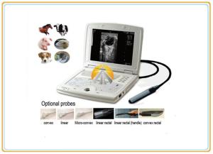 Quality Laptop Veterinary Ultrasound Scanner , Digital Livestock Ultrasound Equipment wholesale
