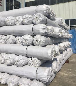 Quality Road Construction Composite Geogrids Uniaxial Plastic Geogrid for Highway Construction wholesale