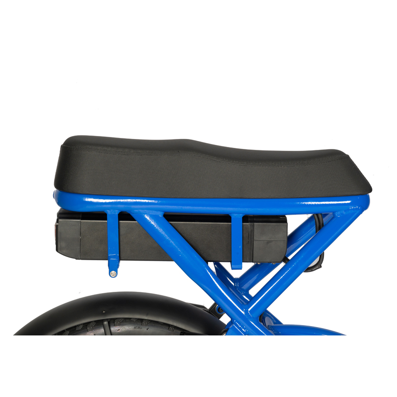 NO Foldable Three Wheel Cargo Tricycle E-bike for Family and Food Delivery Customizable
