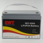 Plastic Casing Lifepo4 Battery Pack 36V 42AH for Outdoor BBQ Energy Storage