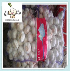 Quality Hot selling purple garlics with great price 100% Natural Garlic wholesale