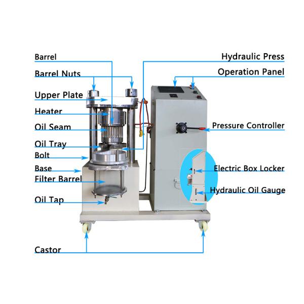 45kg/hr 220V Crude Oil Extraction Machine , 6.5KG/15min Avocado Oil Press