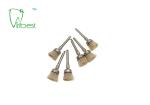 White Bristle Brush Dental Polishing Kit Teeth Polishing Brush