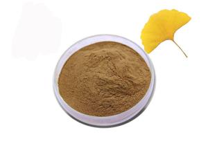 Quality Pharmaceutical Grade Ginkgo Biloba Extract Powder For Health Care wholesale