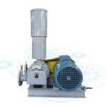 A Little Stock 15hp Model 100 Three Lobe Roots Blower with 50-200A Caliber