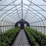 Tunnel Film Automatic Blackout Greenhouse Hydroponic American Agriculture Light
