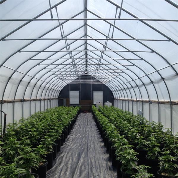 Tunnel Film Automatic Blackout Greenhouse Hydroponic American Agriculture Light