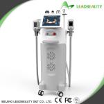 Five Big heads cryolipolysis slimming machine