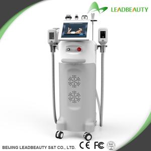 Quality Effectively cryolipolysis slimming fat lose multi-functional machine wholesale