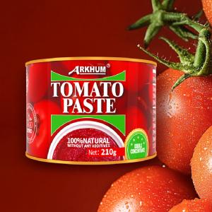 Quality Fast Food Seasoning Umami Tomato Paste French Fries Tomato Ketchup Bag wholesale