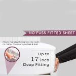 Luxury European and American Style 1-2KG Soft Brushed Microfiber 4 Piece Bed