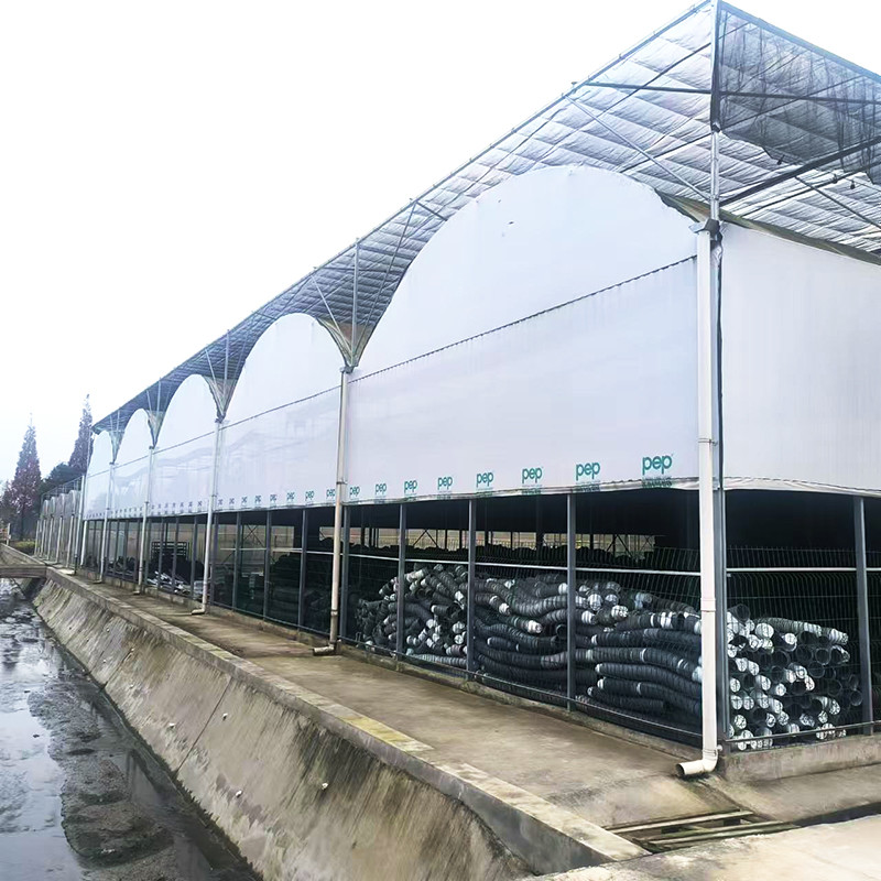 Large Poly Tunnel Agricultural Multi-span PE Film Flower Custom Greenhouse