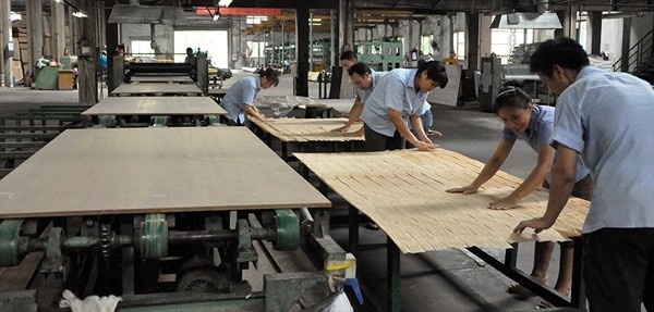 Fancy Wenge Rough Veneer Plywood Environmental Protection Advantage