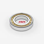 NU NJ NUP N NF P0 P5 NUP1000 Cylindrical Roller Bearings for Pressed Steel Cages