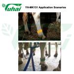 PP Livestock Bands 36cmx4.2cm Colorful Leg Bands For Cow Or Cattle