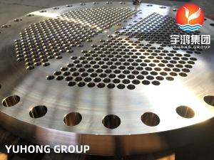 Quality ASME SA182 Stainless Steel Tubesheet 316L / UNS S31603 / 1.4404 Tube Plate wholesale
