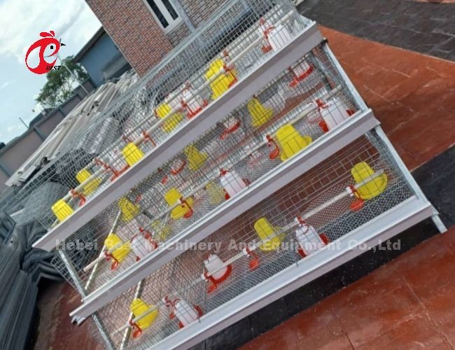 Hot Galvanized Baby Chicken Battery Cage For Sale In Nigeria Office Iris
