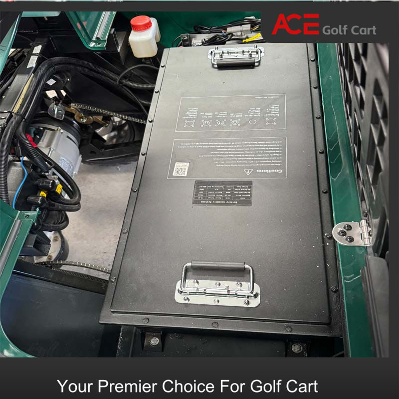 Electric Golf Cart Lithium Battery 48v 2000-5000 Cycle Life And Solar System