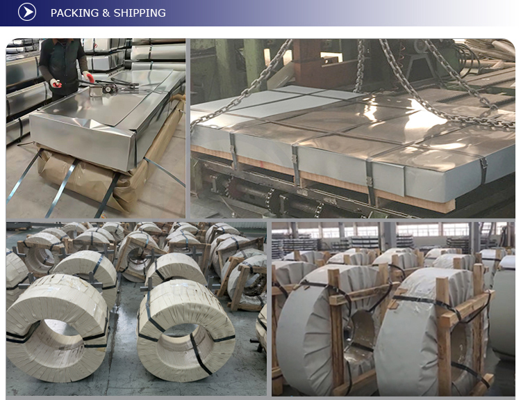 Galvanized Steel Coils 0.3-3mm Thickness for Cold Rolled Based Steel Based on JIS Standard