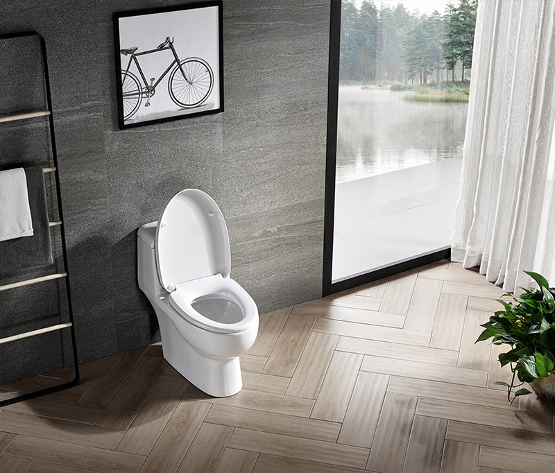 Soft closed WC Ceramic Toilet Bowl Siphon One Piece Dual Flush