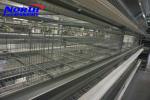 CHICKEN CAGES IN KENYA