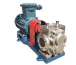 316 Stainless Steel Oil Pump