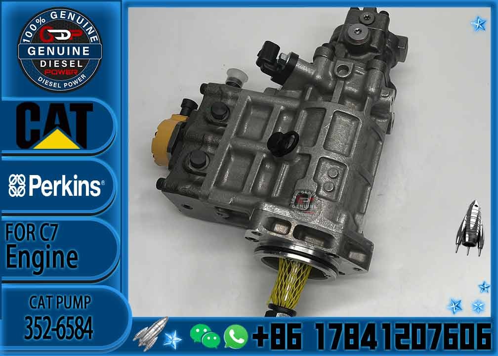 Fuel Injection Pump 326-4634/10R7661 352-6584 291-5919/10R7760 324-0532/2641A405/10R7659C6.4C4.4 for Excavator Loader Ge