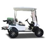 35mph Two Seat EV Blue Golf Car Electric Buggy Road Legal With All Terrain Tires