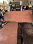 MJ1000E 1000mm Wood Portable Sawmill Horizontal Bandsaw Mill
