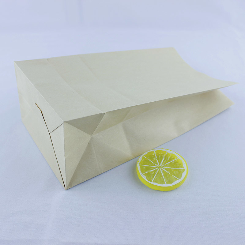 Printing Kraft Foil Lined Paper Bags No Handles Square Bottom Customized