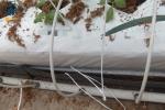 Cocopeat Hydroponic Grow Trough Systems For Growing Roses Tomatos Vegetables