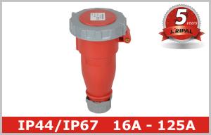 Quality IP67 Industrial Receptacles wholesale