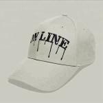 Custom Made Elegant Embroidered Baseball Caps Sun Protection Acylic / Wool