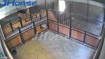 Fill In Wood Type Bamboo European Horse Stall Fronts Custom Design Indoor