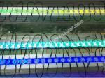 DC24V ws2811 6pcs 5050smd led pixel module