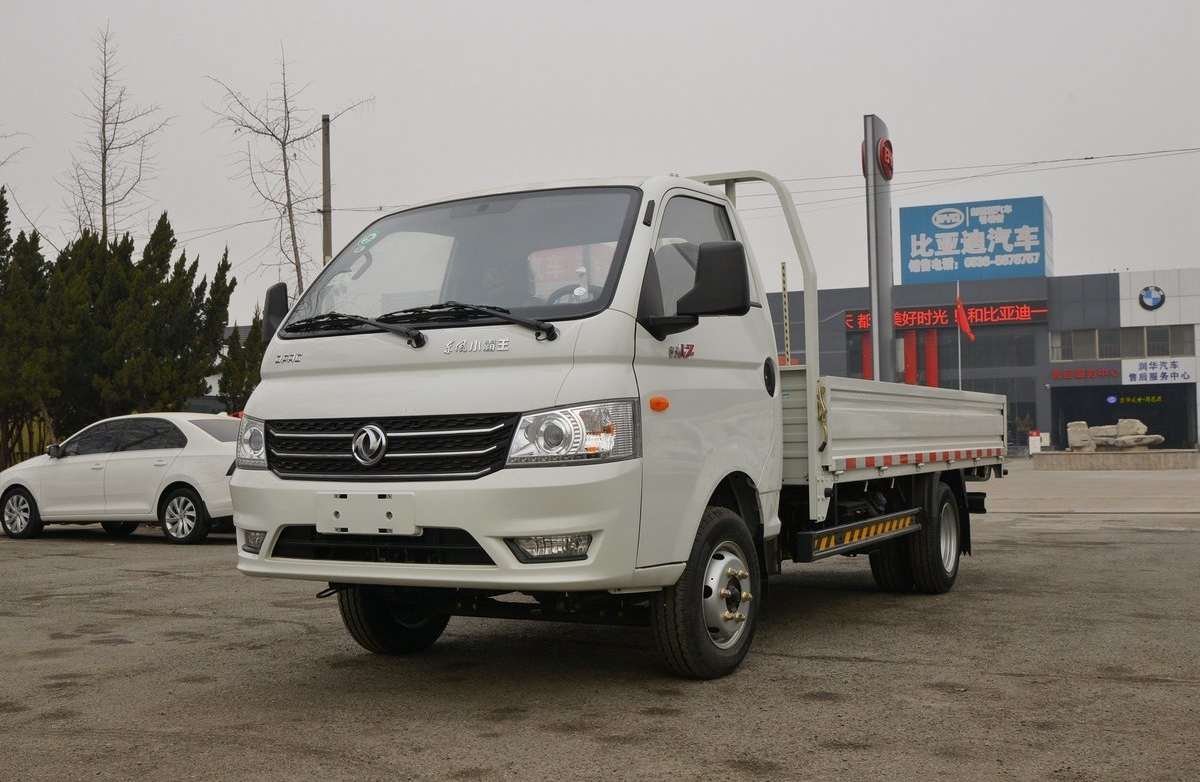 Dongfeng 4x2 1-5T Mini Cargo Truck with Left Steering and Euro 5 Standard Diesel Fuel
