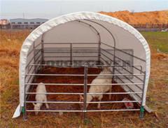 Quality Cattle Barns,3m(10') wide Livestock Barns,Housing wholesale
