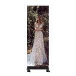 P0.9 Floor Standing LED Poster Display Cabinet 600*1687.5mm Screen Size IP54