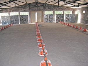Quality Alminco Grain Silo Cooling Storage System, Chain Conveyor wholesale