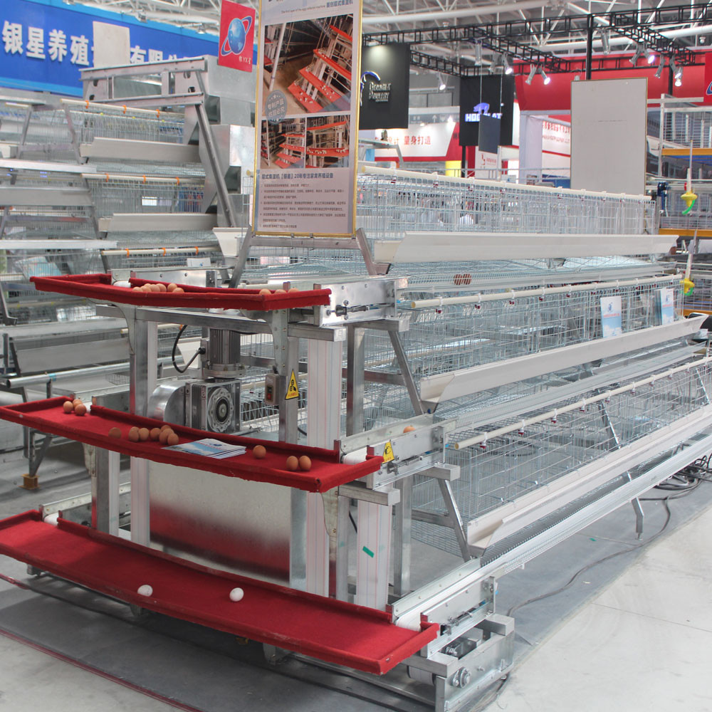 10000 Layers New Design Layer Hen Cage Battery Cage Eggs