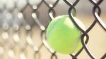 8 Guage Galvanized Chain Link Fence Diamond Fence For Playground