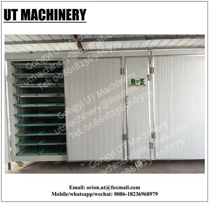 500kg/day Capacity Sprout Production Machines for Fast Manufacturing Plant