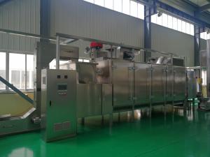 Quality Ss304 Multifunctional Continuous Peanut Roaster Machine wholesale