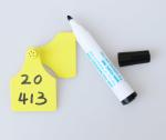 sell animal cattle ear tag,high76*width55mm