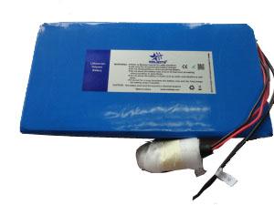 Quality Lithium Polymer Battery Pack 24V 10Ah For Electric Vehicle wholesale