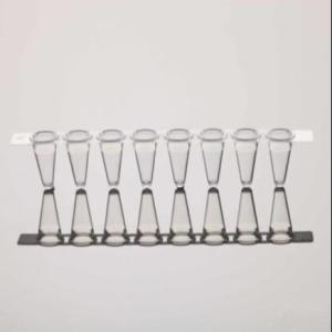 Quality PCR 8-Strip Tube Caps Clear Fit 0.2mL PCR Tube Strips For qPCR wholesale