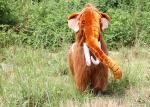 Plush Riding Walking Horse Toy Pony/Pedal Gema