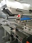 Bread / Biscuit / Frozen Food / Chocolate / Snack Food Packaging Equipment
